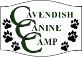 Cavendish Canine Camp